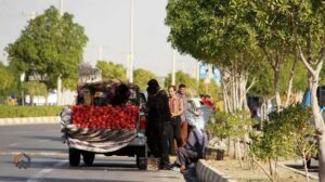 اگر به اطلاعات بیشتر در مورد کار با وانت در میدان تره‌بار شیراز نیاز دارید، ای ن مطلب را بخوانید